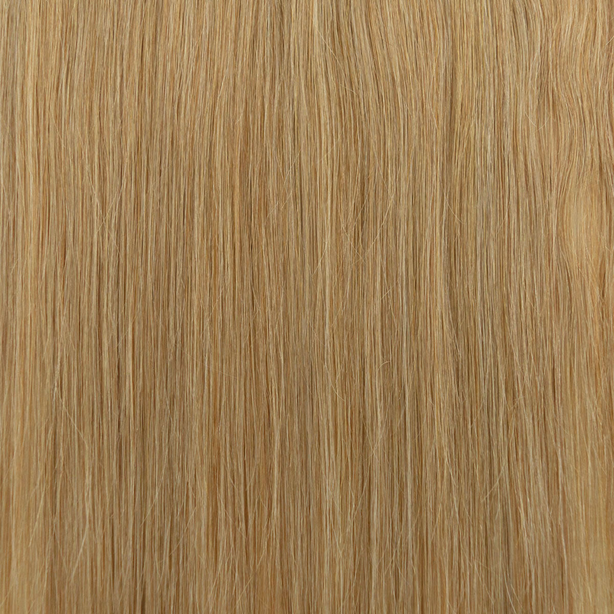 Genius Weft biondo caramello #14